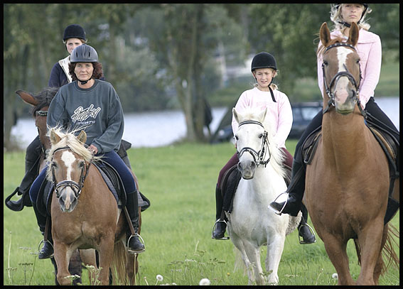 Reitkurs: Sicherheitstraining - Ausreiten