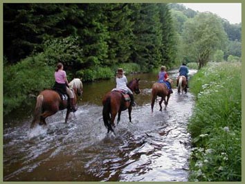 Wanderreiten im Wasser