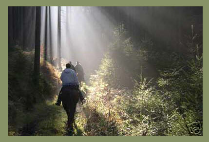 Wanderreit-Urlaub im Westerwald